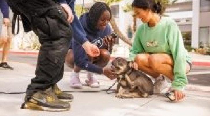 Students-with-Dog-Outside-Mead.jpg